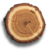 Palivové dřevo Karlovarský kraj